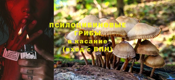 spice Нягань