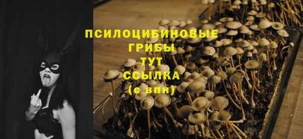 стафф Няндома