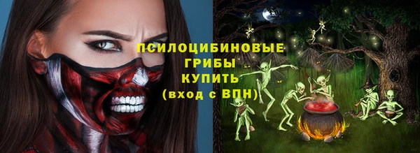 стафф Няндома