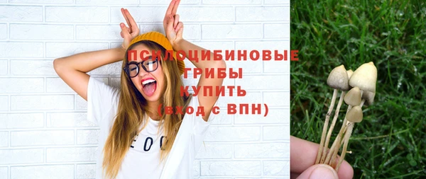 spice Нягань