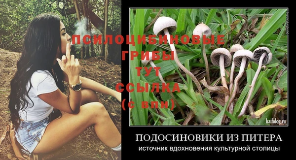 spice Нягань