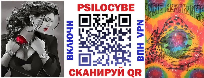 где продают наркотики  Очёр  MEGA ТОР  Галлюциногенные грибы Cubensis 